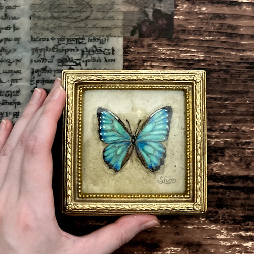 モルフォ蝶の小さな絵 -Morpho portis thamyris- /原画