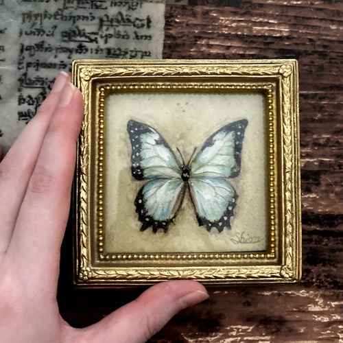モルフォ蝶の小さな絵 - Morpho theseus juturna- /原画 モルフォ蝶の小さな絵 - Morpho theseus juturna- /原画