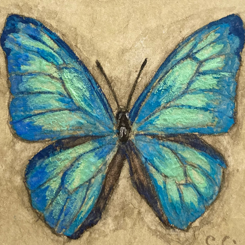 モルフォ蝶の小さな絵 -Morpho adonis- /原画 アンティーク モルフォ蝶の小さな絵 -Morpho adonis- /原画 アンティーク