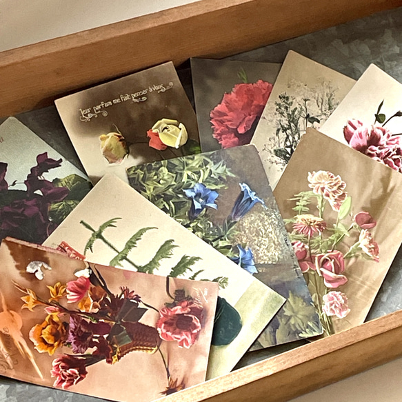 古董明信片套裝 10 朵花（玫瑰、康乃馨、三色堇等）| 法國 第2張的照片