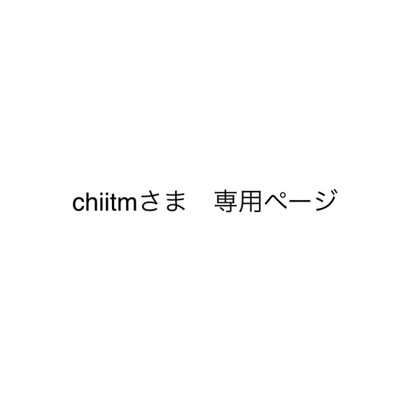 chiitmさま　専用ページ 1枚目の画像