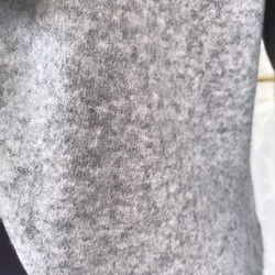  第6張的照片
