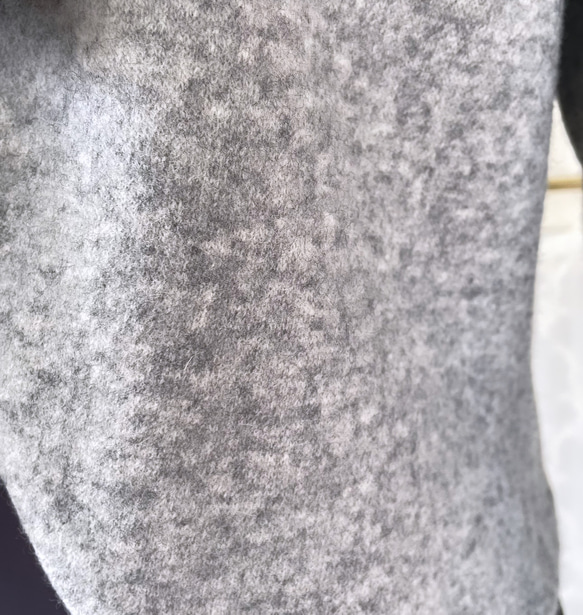  第6張的照片