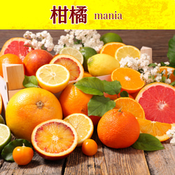 【柑橘マニア】スッキリ晴れやかブレンドアロマオイル 3枚目の画像