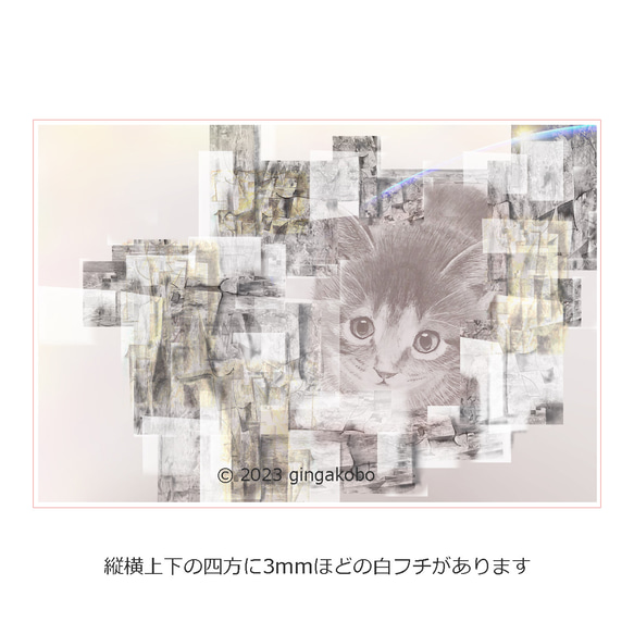 「雲の通い路にて」　猫　ほっこり癒しのイラストポストカード2枚組No.081 1枚目の画像