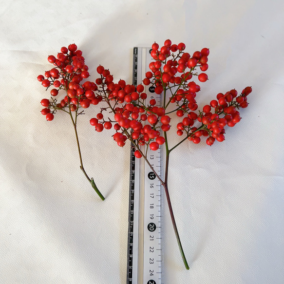 南天　お正月飾り 4枚目の画像