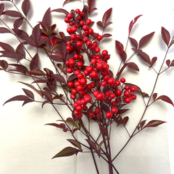 南天　お正月飾り 2枚目の画像