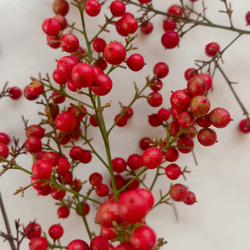 南天　お正月飾り 6枚目の画像