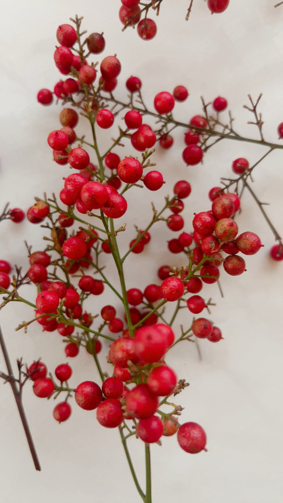 南天　お正月飾り 6枚目の画像