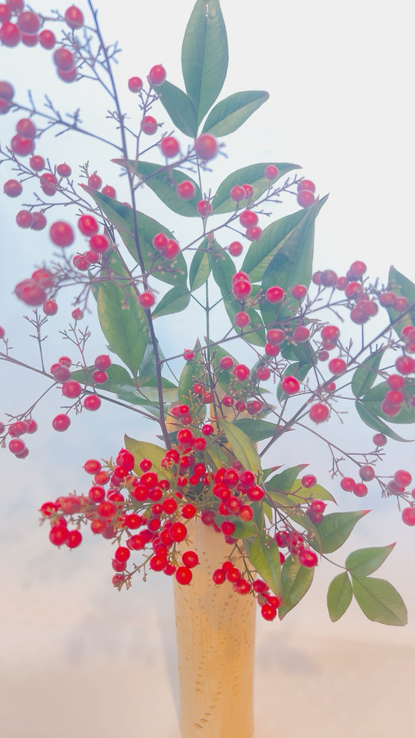 南天　お正月飾り 13枚目の画像