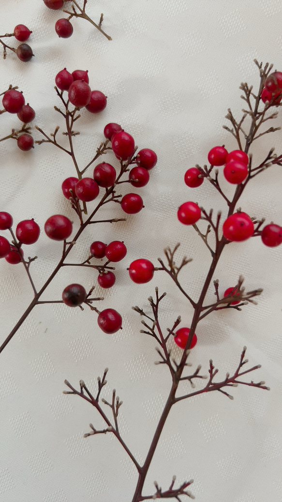 南天　お正月飾り 5枚目の画像