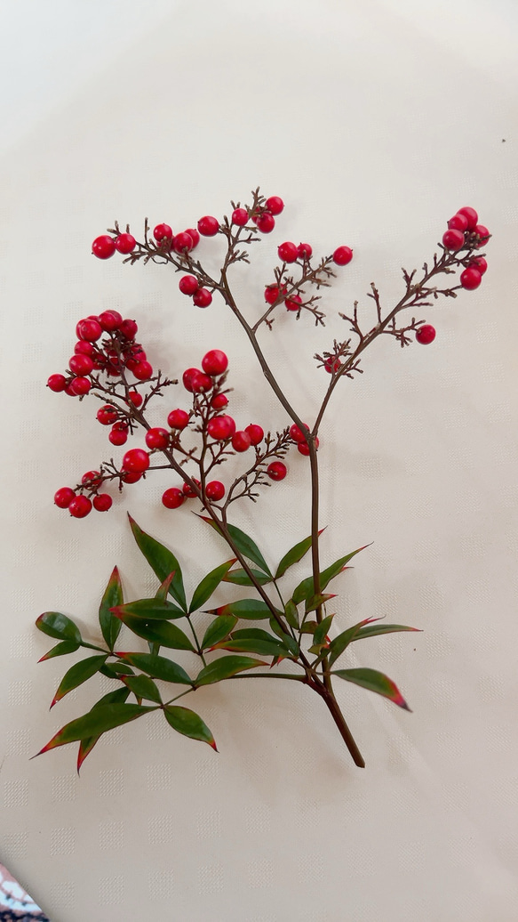 南天　お正月飾り 7枚目の画像