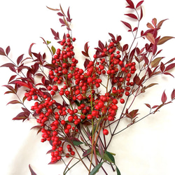 南天　お正月飾り 1枚目の画像