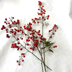 南天　お正月飾り 14枚目の画像