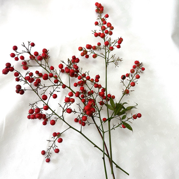 南天　お正月飾り 14枚目の画像