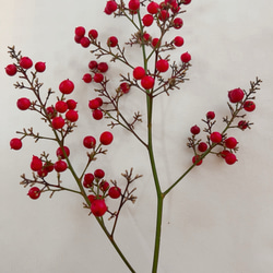 南天　お正月飾り 8枚目の画像