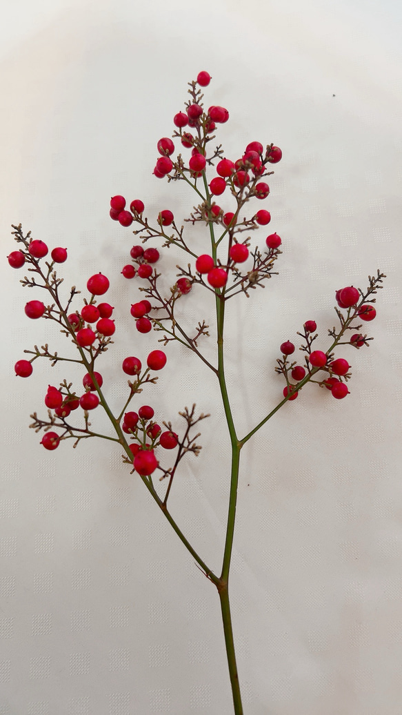 南天　お正月飾り 8枚目の画像