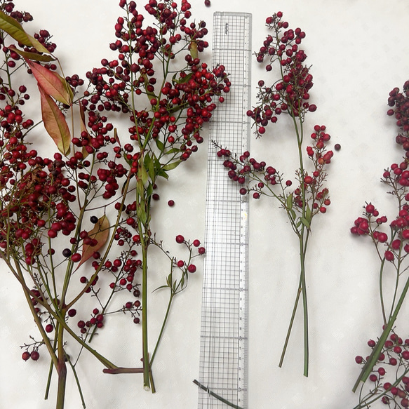 南天　お正月飾り 15枚目の画像