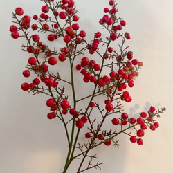 南天　お正月飾り 11枚目の画像