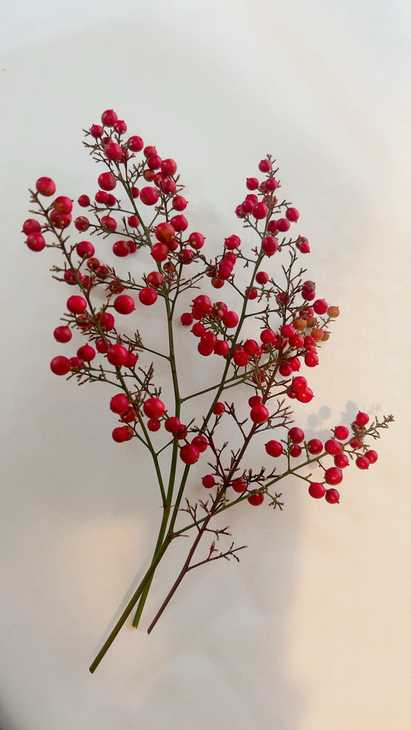 南天　お正月飾り 11枚目の画像