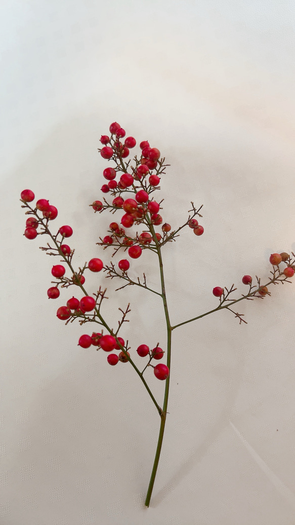 南天　お正月飾り 9枚目の画像