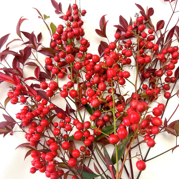 南天　お正月飾り 3枚目の画像