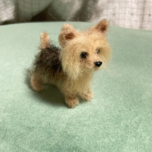 うちの子オーダー 見本 羊毛フェルトヨークシャーテリア 羊毛フェルト