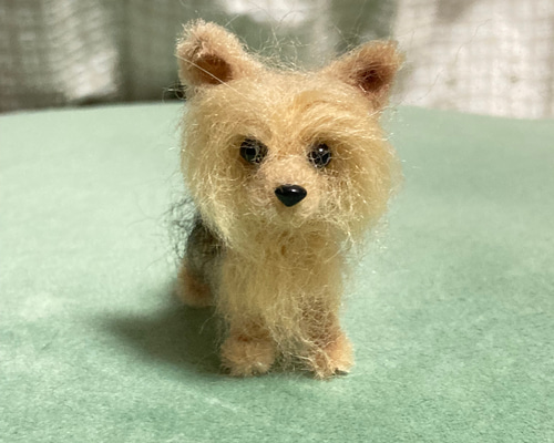 b216f0cb0131989ea38a928a404379