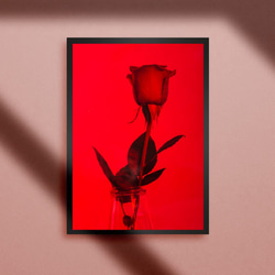 【A4額付き】薔薇 バラ ばら ローズ ROSE 一輪挿し 芸術 写真 ボップアート 雑貨 ポスター 1枚目の画像
