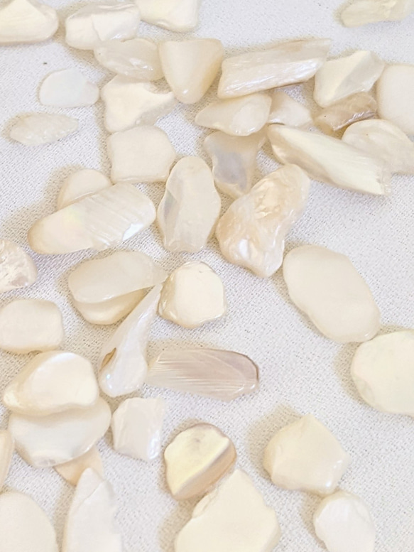 シェル チップ 5ｇ 貝 粒 カレット ネイル レジン封入 パーツ 3枚目の画像