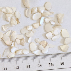 シェル チップ 5ｇ 貝 粒 カレット ネイル レジン封入 パーツ 5枚目の画像