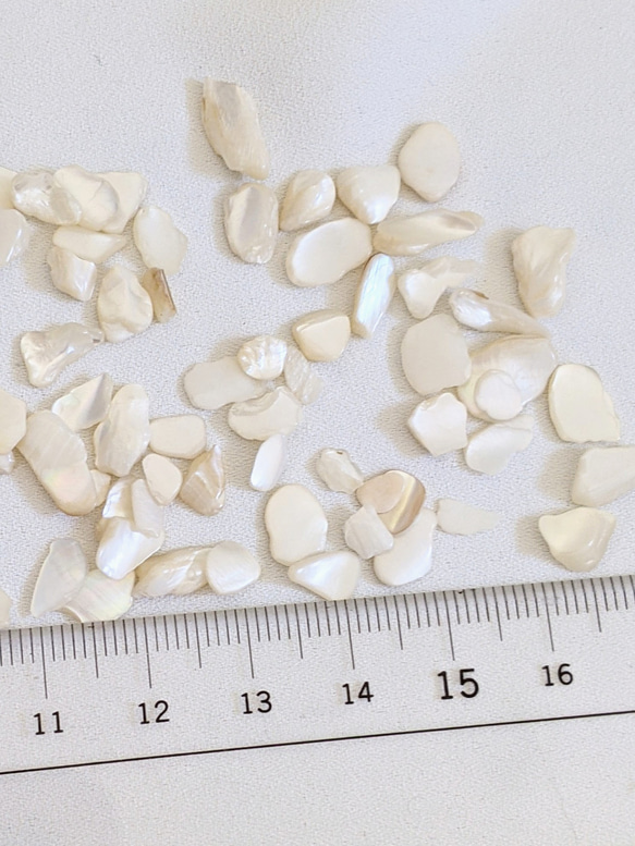 シェル チップ 5ｇ 貝 粒 カレット ネイル レジン封入 パーツ 5枚目の画像