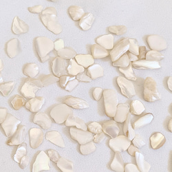 シェル チップ 5ｇ 貝 粒 カレット ネイル レジン封入 パーツ 1枚目の画像