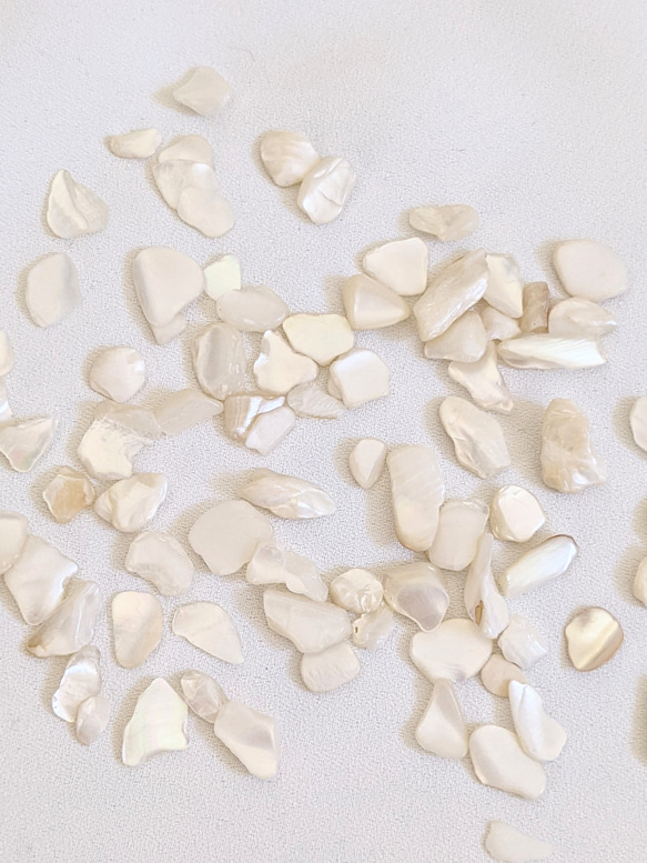 シェル チップ 5ｇ 貝 粒 カレット ネイル レジン封入 パーツ 1枚目の画像