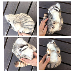 オーダーメイド☆羊毛フェルトのマヌルネコ子猫 9枚目の画像
