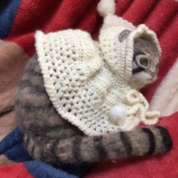 オーダーメイド☆羊毛フェルトのマヌルネコ子猫 18枚目の画像