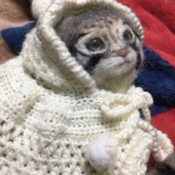 オーダーメイド☆羊毛フェルトのマヌルネコ子猫 19枚目の画像