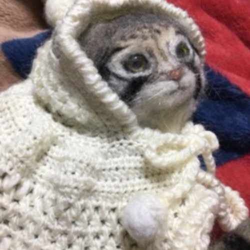 オーダーメイド☆羊毛フェルトのマヌルネコ子猫 立体・オブジェ