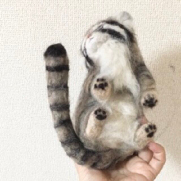 オーダーメイド☆羊毛フェルトのマヌルネコ子猫 8枚目の画像
