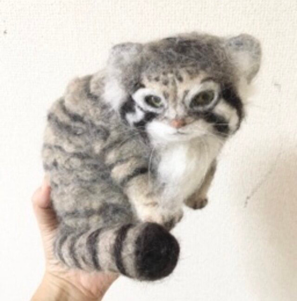 オーダーメイド☆羊毛フェルトのマヌルネコ子猫 1枚目の画像