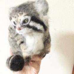 オーダーメイド☆羊毛フェルトのマヌルネコ子猫 2枚目の画像