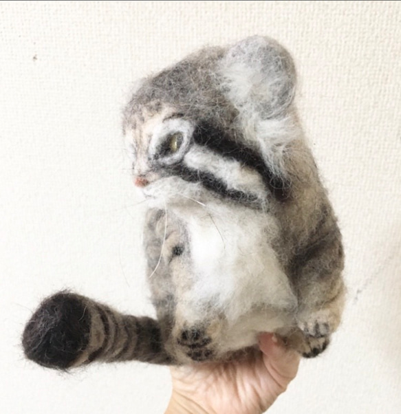 オーダーメイド☆羊毛フェルトのマヌルネコ子猫 3枚目の画像