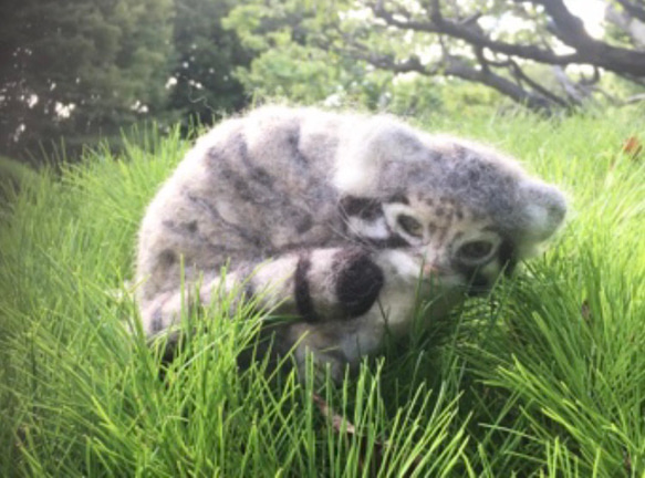 オーダーメイド☆羊毛フェルトのマヌルネコ子猫 14枚目の画像