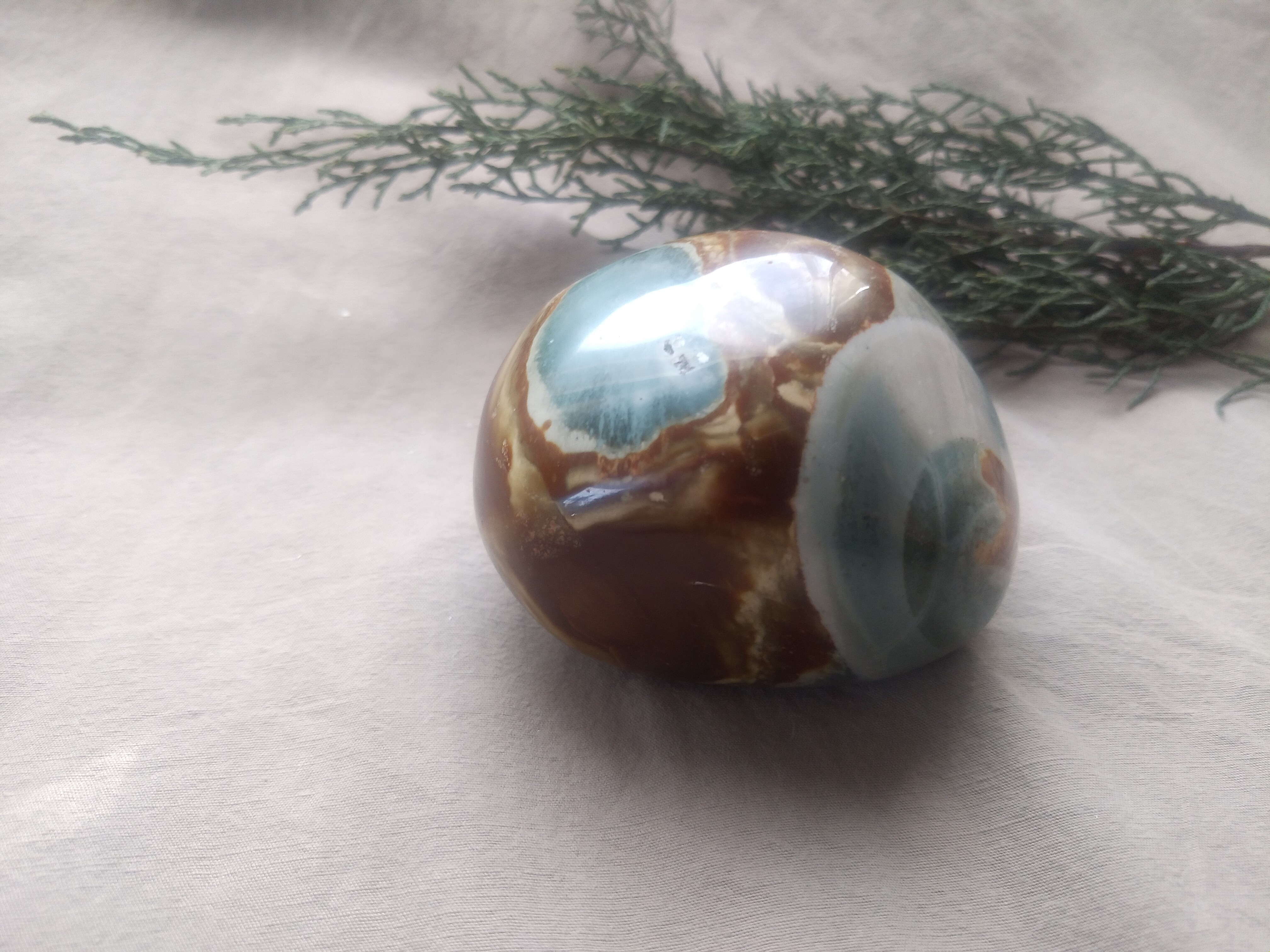 オーシャンジャスパー　　⑤