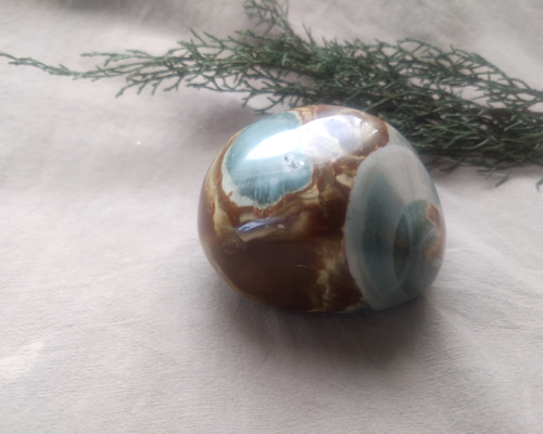 オーシャンジャスパー ⑤ その他インテリア雑貨 Clear 通販