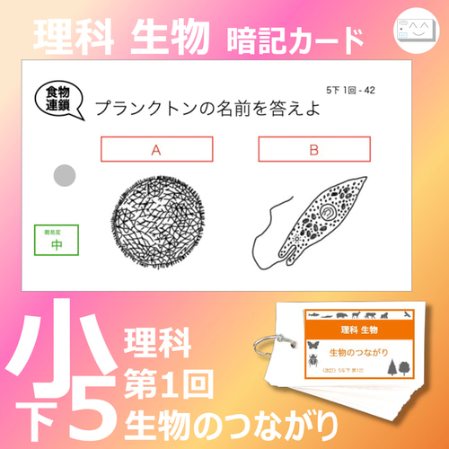 中学受験 暗記カード【理科 生物 全セット】難易度小学5年生向け