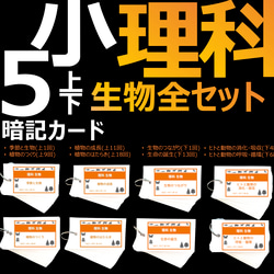 中学受験 暗記カード【理科 生物 全セット】難易度小学5年生向け