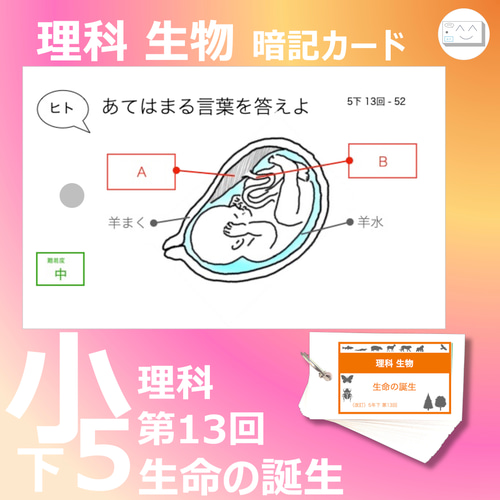 中学受験 暗記カード【理科 生物 全セット】難易度小学5年生向け