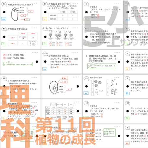 中学受験 暗記カード【理科 生物 全セット】難易度小学5年生向け