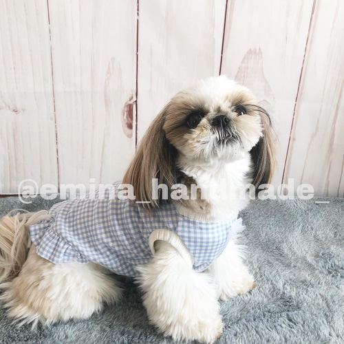 犬服 ギンガムチェックな服 タンクトップ フリルタンクトップ ペット服